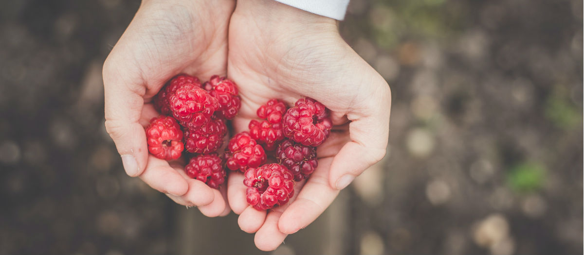 Développez un coeur qui donne généreusement